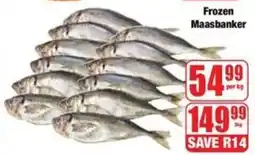 Boxer Superstores Frozen Maasbanker offer