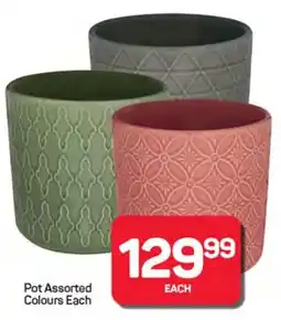 Pick n Pay Pot Assorted Colours offer
