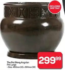 Pick n Pay The Pot Story Angolan Pot Large offer
