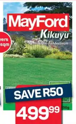 Pick n Pay Mayford Kikuyu Lawn Seed offer
