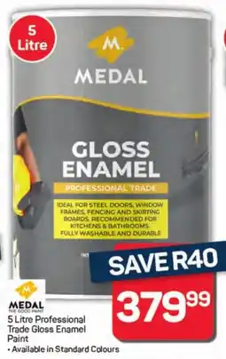 Pick n Pay Medal Professional Trade Gloss Enamel Paint offer