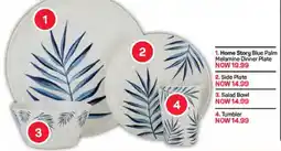 Pick n Pay DAY Home Story Blue Palm Melamine Dinner Plate offer