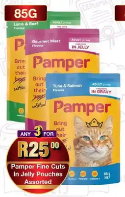 Take 'n Pay Pamper Fine Cuts In Jelly Pouches Assorted offer