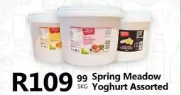 Take 'n Pay Spring Meadow Yoghurt Assorted offer