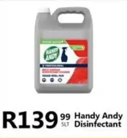 Take 'n Pay Handy Andy Disinfectant offer