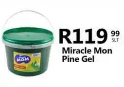 Take 'n Pay Miracle Mom Pine Gel offer