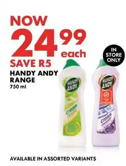 Woolworths Handy Andy Range offer