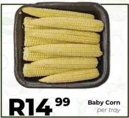 Take 'n Pay Baby Corn offer