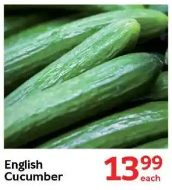 Oxford Freshmarket English Cucumber offer