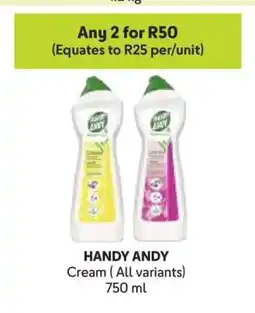 Makro HANDY ANDY offer
