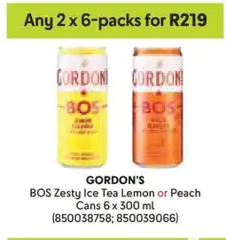 Makro GORDON’S BOS Zesty Ice Tea Lemon or Peach offer