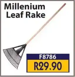 Laduma Hardware catalogue Millenium Leaf Rake offer
