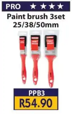 Laduma Hardware catalogue Pro Paint Brush Set offer