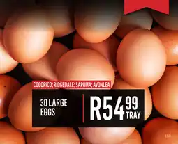 Bluff Meat Supply Large Eggs offer