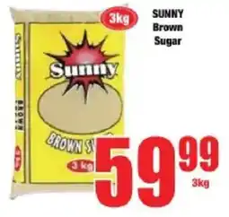 Boxer Sunny Brown Sugar offer