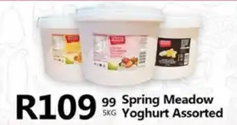 Take 'n Pay Spring Meadow Yoghurt Assorted offer