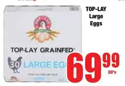 Boxer TOP-LAY Large Eggs offer