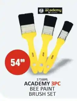 KitKat Cash and Carry ACADEMY 3pc Bee Paint Brush Set offer