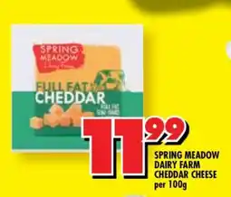 Shoprite SPRING MEADOW DAIRY FARM CHEDDAR CHEESE offer