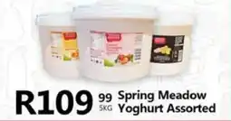 Take 'n Pay Spring Meadow Yoghurt Assorted offer
