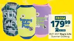 Checkers Dog's Life Summer Clothing offer