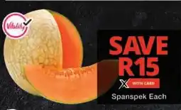 Checkers Spanspek offer