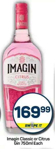 Pick n Pay Imagin Classic or Citrus Gin 750ml Each offer