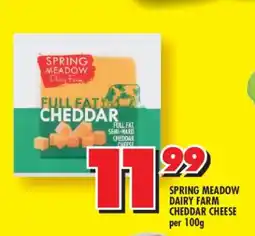Shoprite SPRING MEADOW DAIRY FARM CHEDDAR CHEESE offer