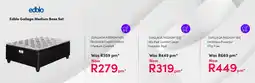 Teljoy Edblo Gallaga Medium Base Set offer