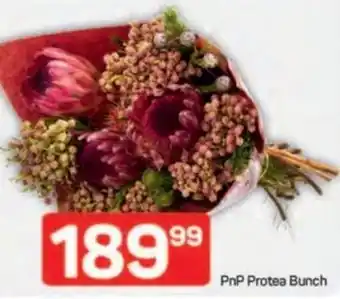 Pick n Pay PnP Protea Bunch offer