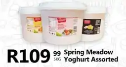 Take 'n Pay Spring Meadow Yoghurt Assorted offer