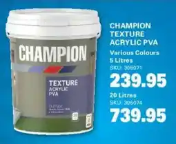 Cashbuild Champion texture acrylic pva offer