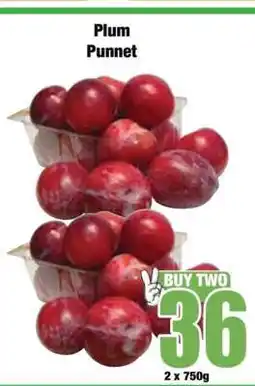 Boxer Plum Punnet offer