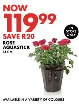 Woolworths Rose Aquastick offer
