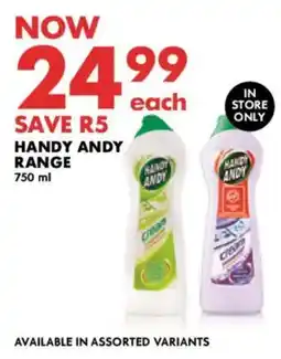 Woolworths Handy andy range offer