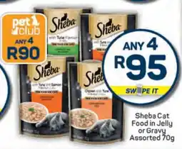 Pick n Pay Sheba Cat Food in Jelly or Gravy Assorted 70g offer