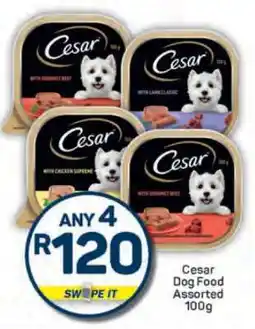 Pick n Pay Cesar Dog Food Assorted 100g offer