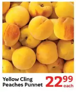 Oxford Freshmarket Yellow Cling Peaches Punnet offer