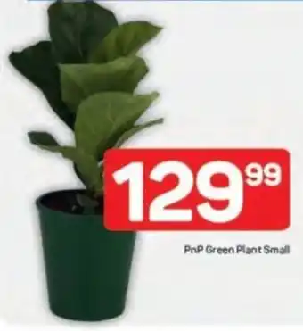 Pick n Pay PnP Green Plant Small offer