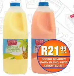 Take 'n Pay Spring meadow dairy blend juice assorted offer
