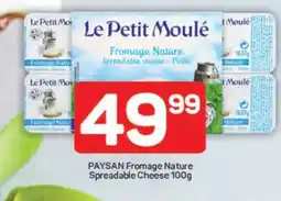 Pick n Pay PAYSAN Fromage Nature Spreadable Cheese 100g offer