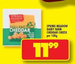 Shoprite SPRING MEADOW DAIRY FARM CHEDDAR CHEESE offer