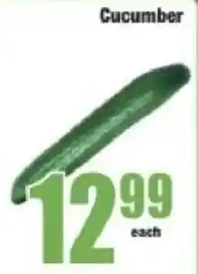 Boxer Cucumber offer