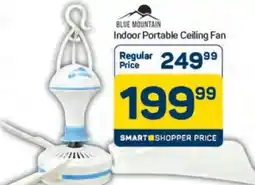 Pick n Pay Hypermarket Blue Mountain Indoor Portable Ceiling Fan offer