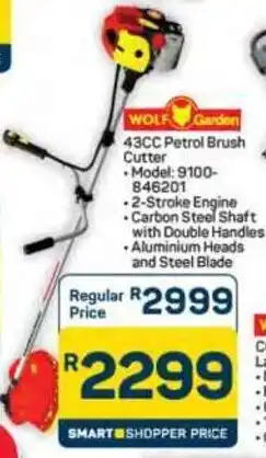 Pick n Pay Hypermarket Wolf Garden 43CC Petrol Brush Cutter offer