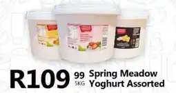 Take 'n Pay Spring Meadow Yoghurt Assorted offer