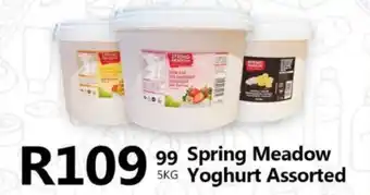 Take 'n Pay Spring Meadow Yoghurt Assorted offer