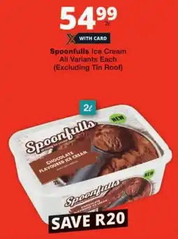 Checkers Spoonfulls Ice Cream All Variants offer