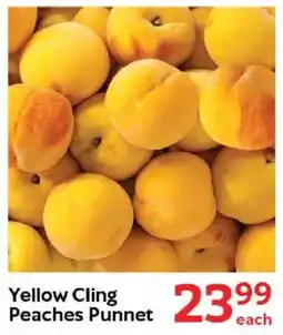Oxford Freshmarket Yellow Cling Peaches Punnet offer