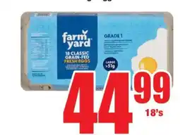 Boxer farm yard 18 CLASSIC GRAIN-FED FRESH EGGS offer